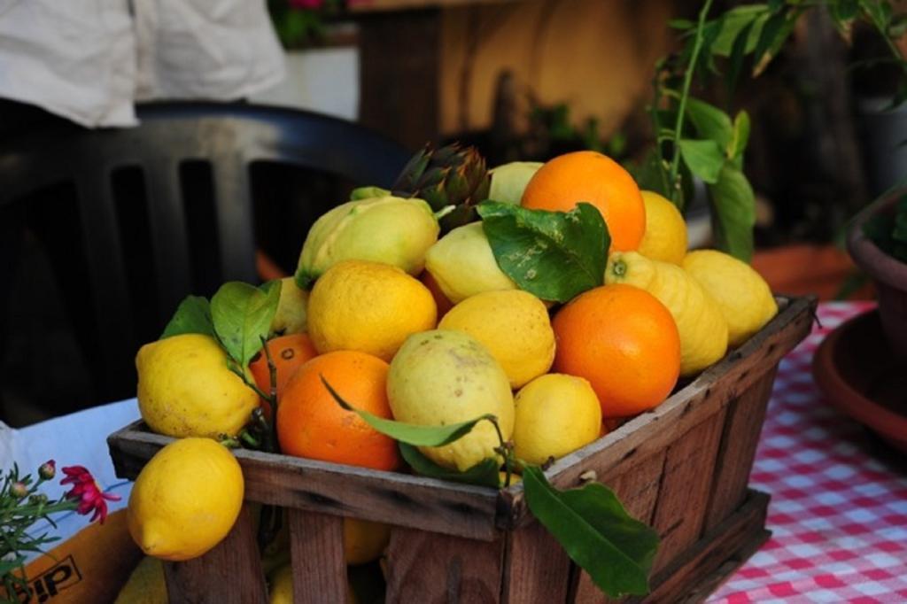 Agriturismo Del Pigato - Bio Vio Albenga Rum bild