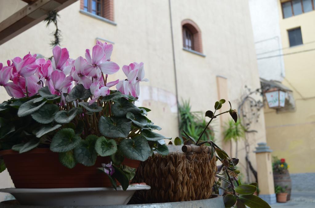 Agriturismo Del Pigato - Bio Vio Albenga Exteriör bild